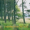 Music A.M. - Unwound From The Wood
