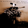 M. Walking On The Water – Flowers For The Departed
