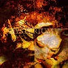 Mysterium – Soulwards