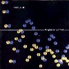 Nada Surf – The Proximity Effect