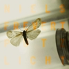 Niels Frevert – Putzlicht