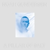 Noah Gundersen – A Pillar Of Salt