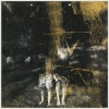 Old Fire – Voids