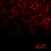 O.S.I. – Blood