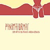 Panamaformat – Das hättest Du früher haben können