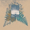 Parkwalker – Distant Phenomena