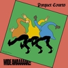 Parquet Courts – Wide Awake!