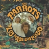 The Parrots – Los Ninos Sin Miedo