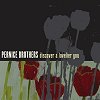 Pernice Brothers – Discover A Lovelier You