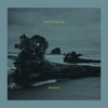 Peter Broderick – Partners