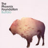 The Phoenix Foundation - Buffalo