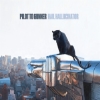 Pilot To Gunner – Hail Hallucinator