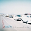 Pima&#322%3Bo – All The Trees Are Still Moving