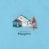 Pinegrove – Amperland NY