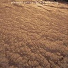 Pleasant Grove – The Art Of Leaving