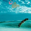 The Polyphonic Spree - Together We're Heavy