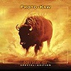 Proto-Kaw - Before Became After