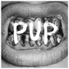 Pup – Pup