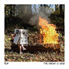 Pup – The Dream Is Over