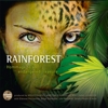 Rainforest – Hommage To An Endangered Treasure