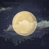 Reckless Kelly – Long Night Moon