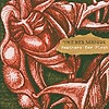 The Red Masque – Feathers For Flesh
