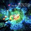 Richard Hawley - Standing At The Sky's Edge