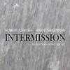 Robert Forster & Grant McLennan – Intermission – The Best Of Solo Recordings 1990-1997