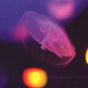 Robin Guthrie – Carousel