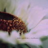 Robin Guthrie – Sunflower Stories