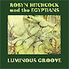 Robyn Hitchcock And The Egyptians – Luminous Groove (Boxset)