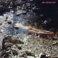 Rolf Blumig – Alles hat seine Zeit