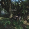 Sarah Davachi – Cantus, Descant