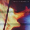 Seachange – Disband In Bonn 2007