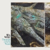 Sea Wolf – Though A Dark Wood