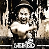 Sebel – Scheiß auf die Disco
