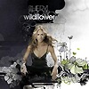 Sheryl Crow – Wildflower