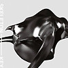 Skeleton Key – Gravity Is The Enemy