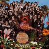 Sonny Vincent - The Good