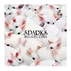 Sparks – Hello Young Lovers