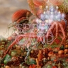Spidergawd – IV