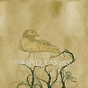 The Spill Canvas - One Fell Swoop