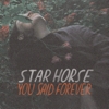 Star Horse – You Said Forever