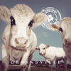 Steve ‚N‘ Seagulls – Grainsville