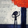 Steven Wilson - Drive Home