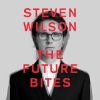 Steven Wilson – The Future Bites