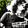 Stevie Salas – Be What It Is