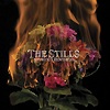 The Stills – Without Feathers