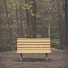 Streetlight Manifesto - The Hands That Thieve