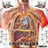 Strung Out – Prototypes And Painkillers